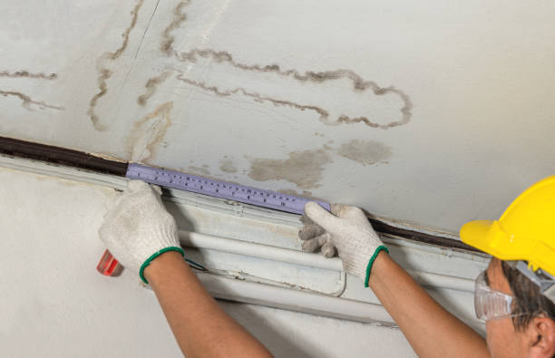 Reliable Structural Drying contractor in Pottersville, NJ by Water Damage Irwin